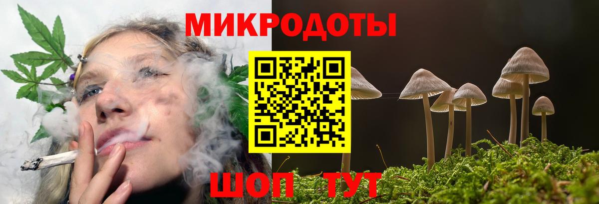 купить   Псилоцибиновые грибы Magic Shrooms  Вход с VPN  Луга 